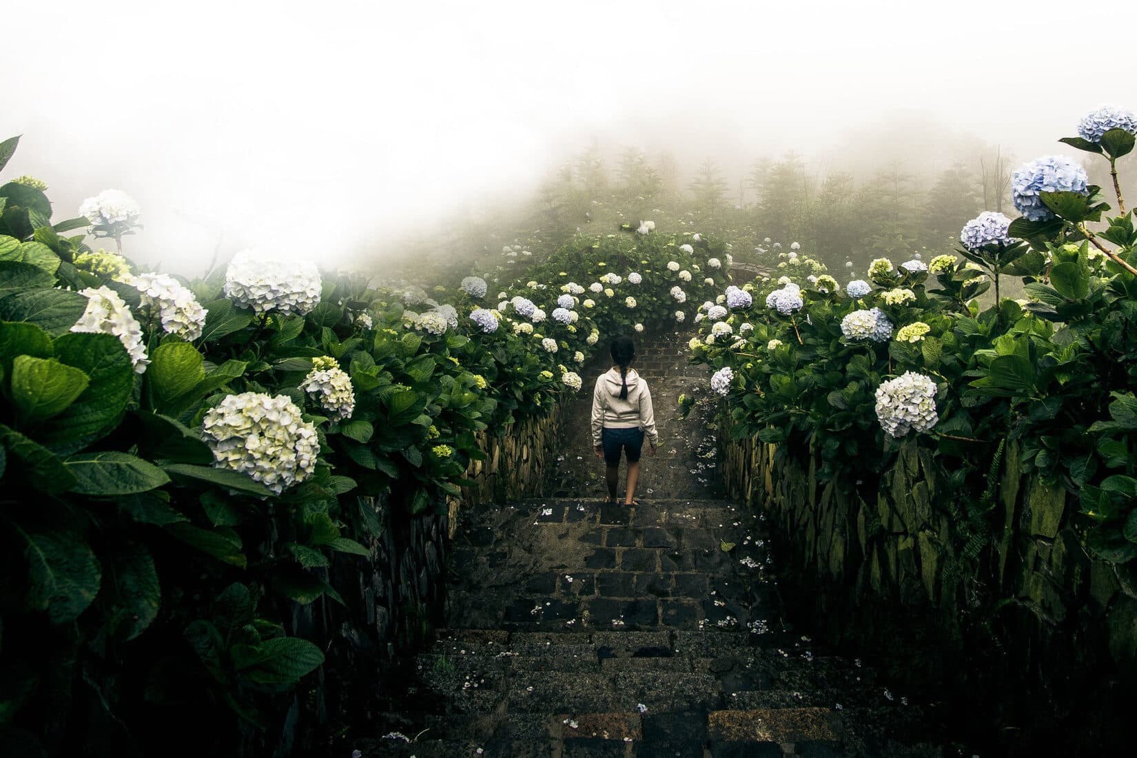Flowers, Seeds, and Students