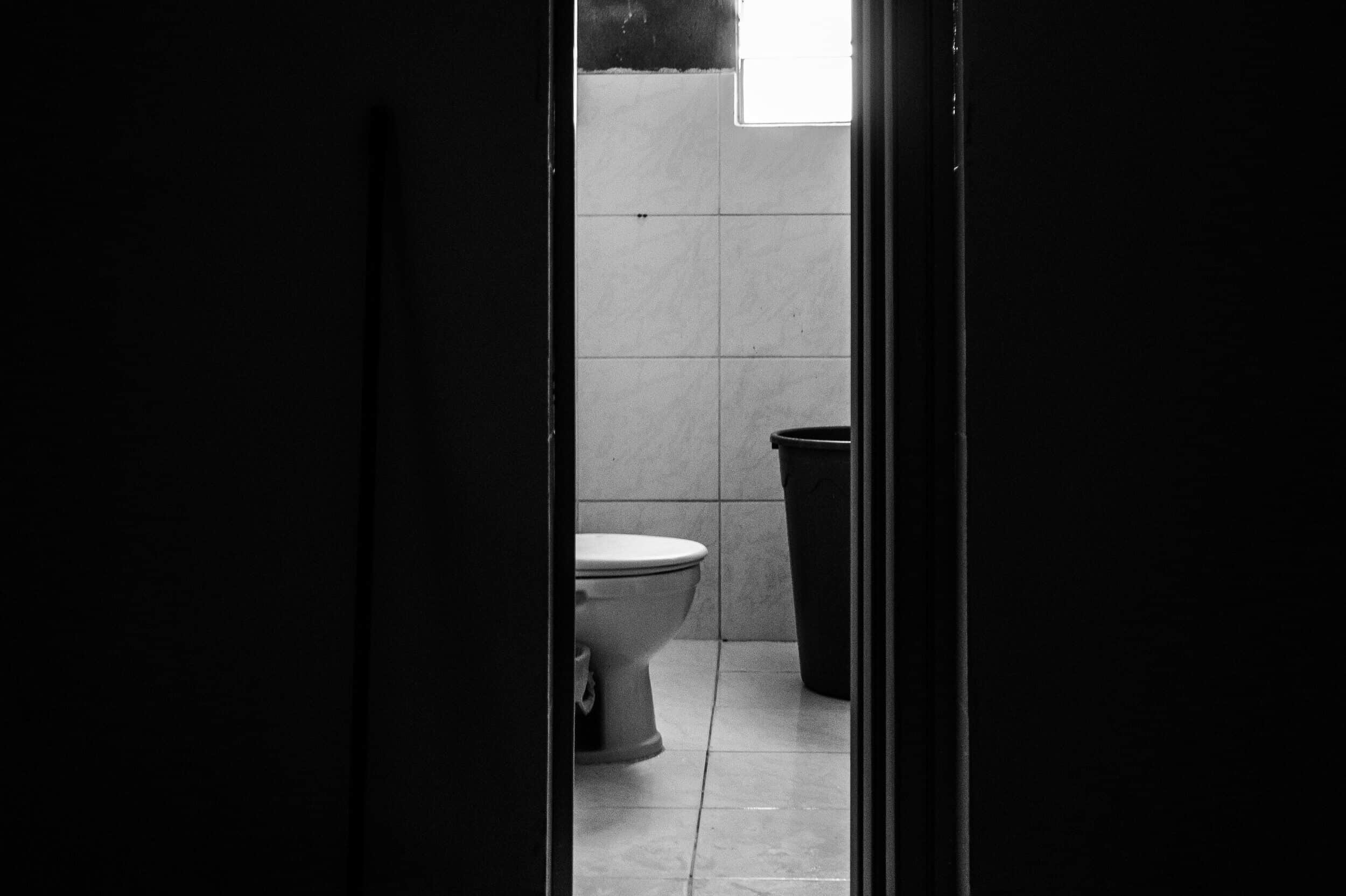 Absurdity, Ideals, and Shakespeare’s Bawdy Humor